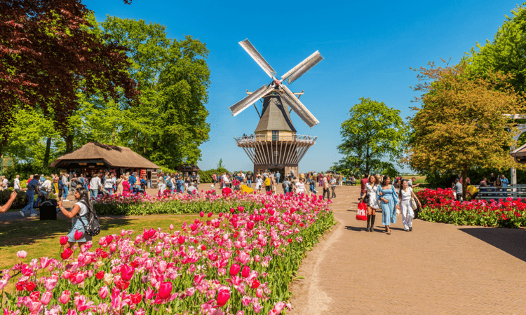 March 2025: 7 things expats in the Netherlands need to know