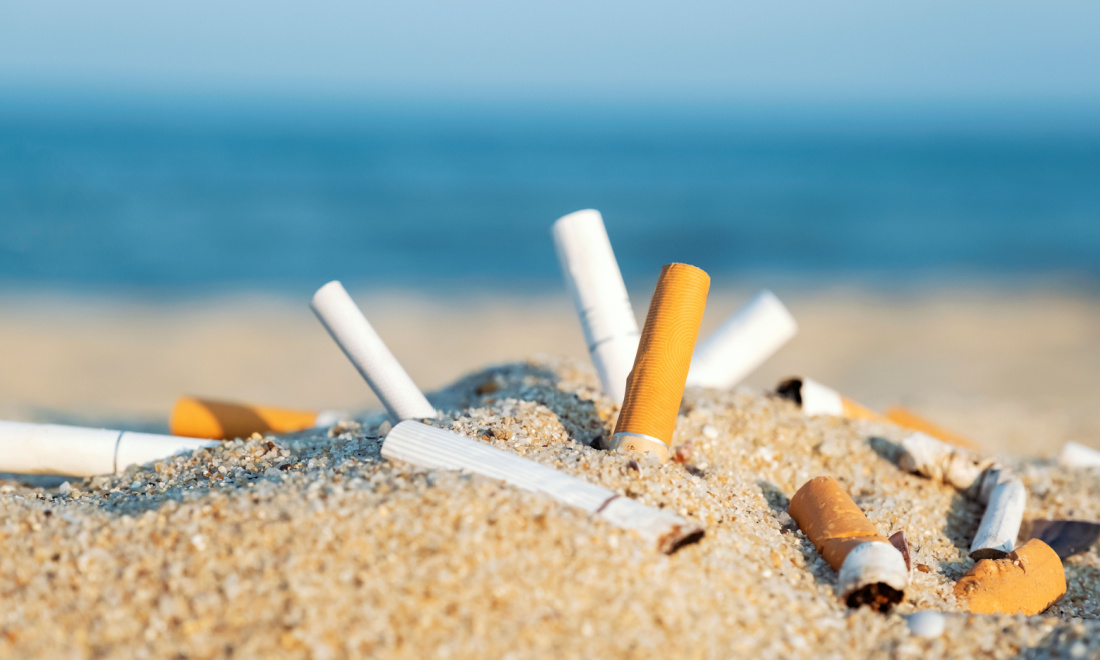 Cigarette filter ban netherlands