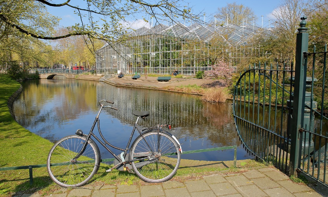 quiet Amsterdam botanic gardens reflections glasshouses