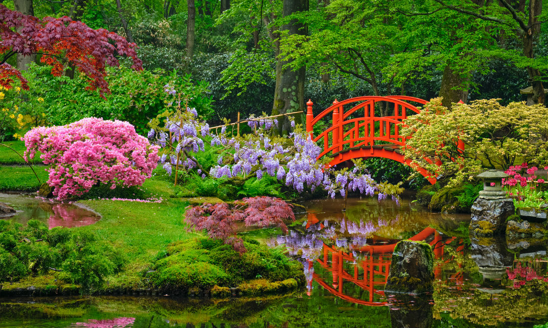 japanese-garden-clingendael-opens-spring.jpg