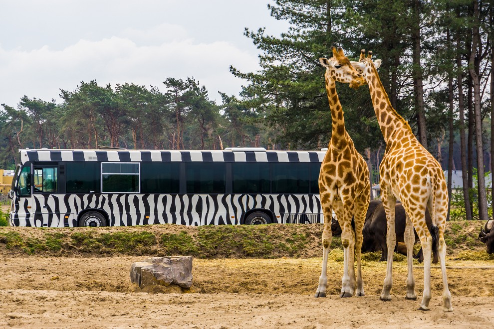 tierpark safari holland