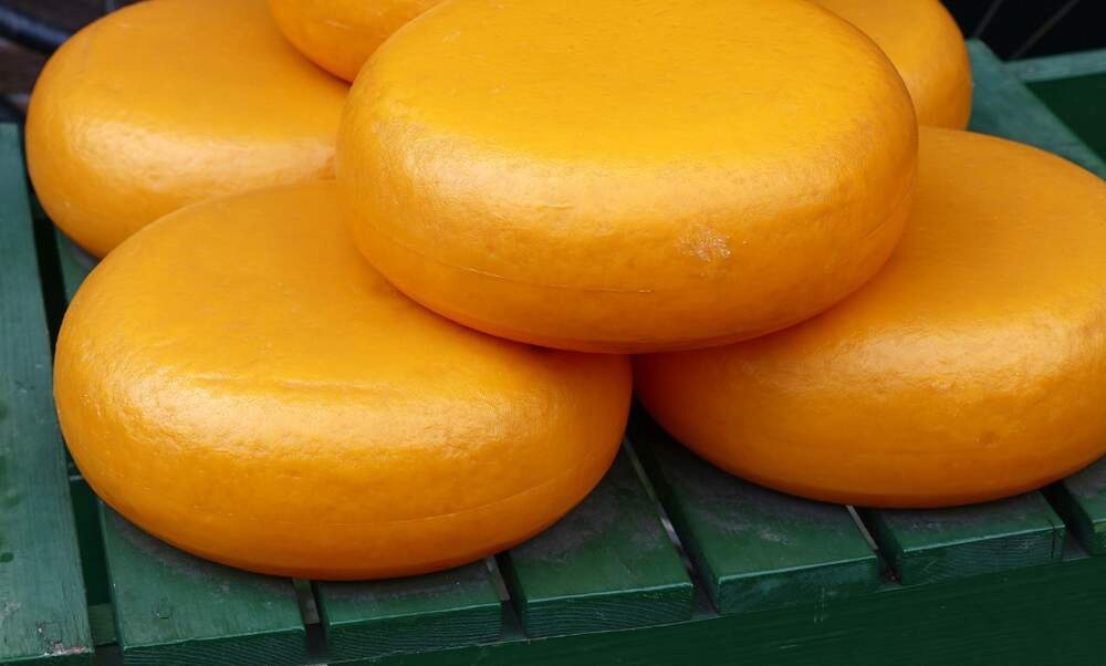 [Video] How traditional Dutch Gouda cheese is made