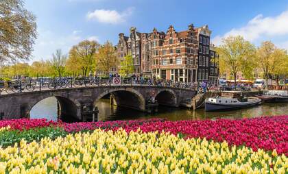 Amsterdam Tulip Festival 