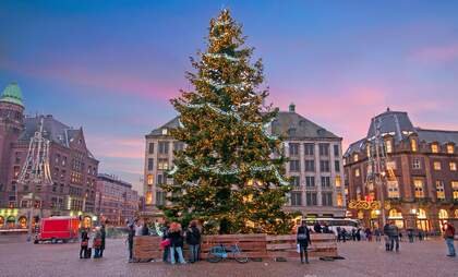 Lighting the Christmas Tree on Dam Square