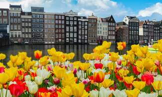 The Dutch housing market: Another tulip mania?