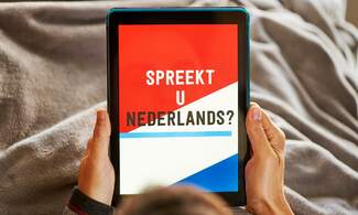 Make Dutch your next language with DiscoverinDutch