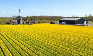Dutch agricultural exports grew to record-high in 2015