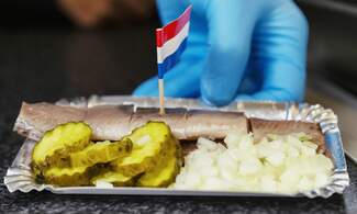 The Netherlands will donate first catch of herring to German and Dutch healthcare workers