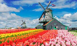 [Video] 5 things you will love & hate about the Netherlands