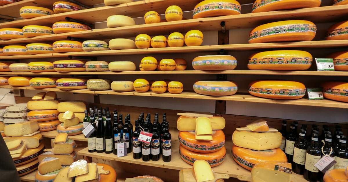 7 tasty spots for cheese lovers in the Netherlands