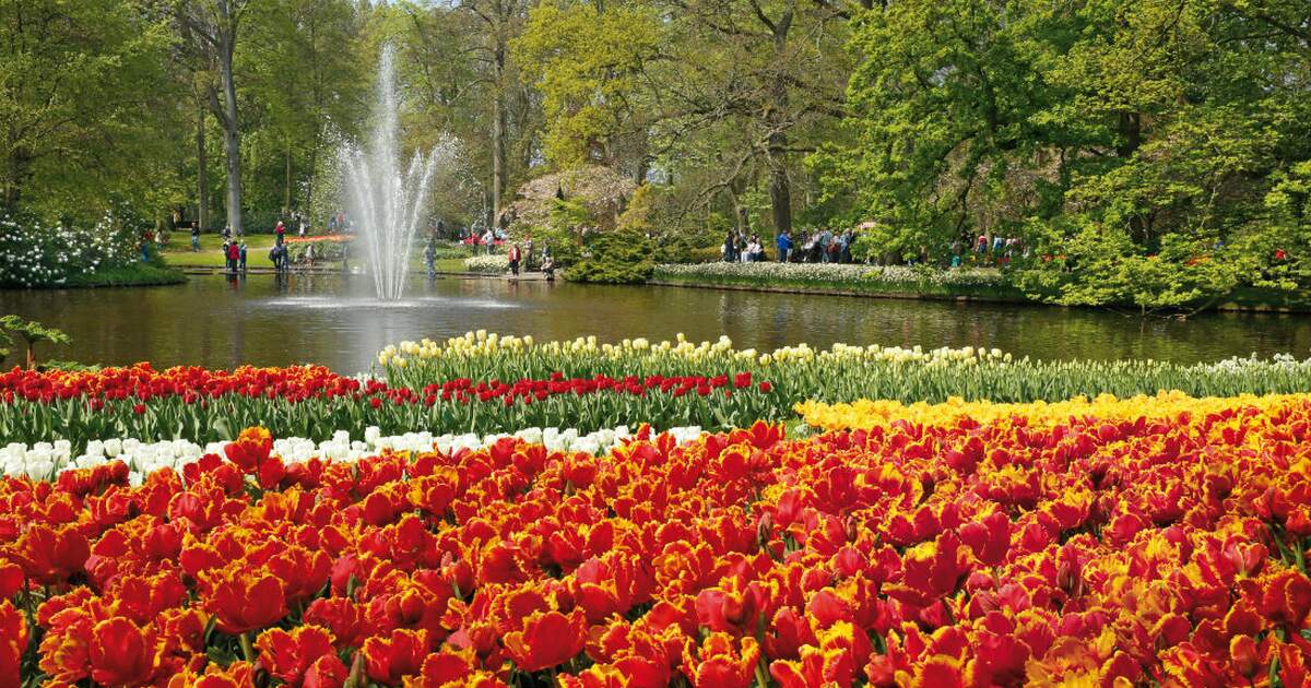 Flower capital of the world: Aalsmeer