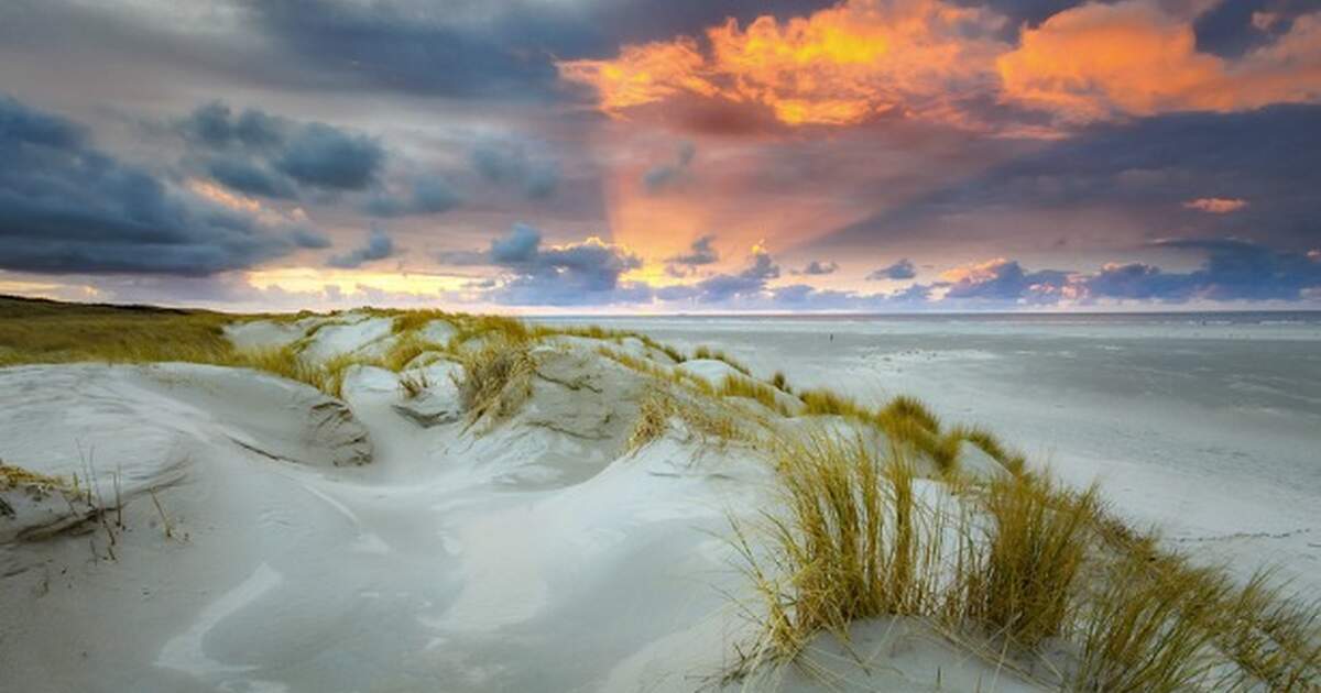 Dutch Beaches The 13 Best Beaches In The Netherlands
