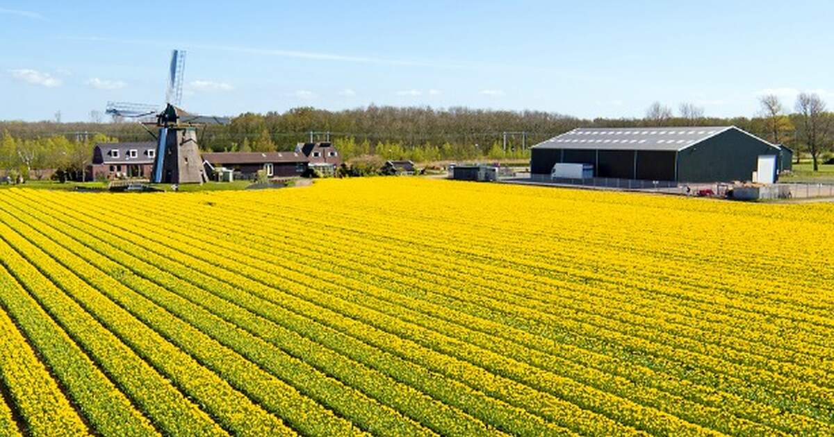 Dutch Agricultural Exports Grew To Record High In 2015