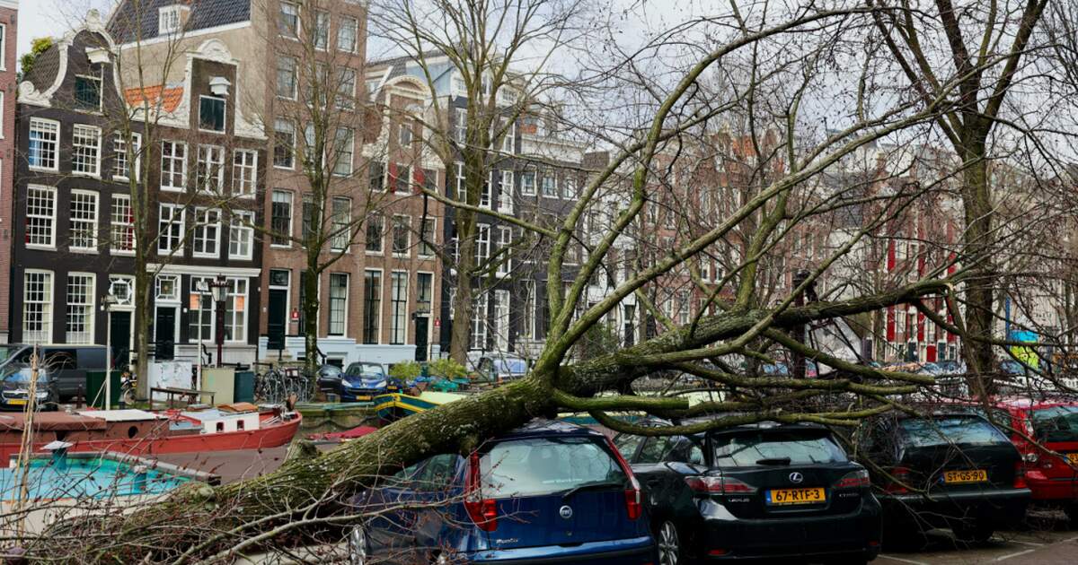Er is code geel afgegeven omdat storm Ciaran donderdag over Nederland raast