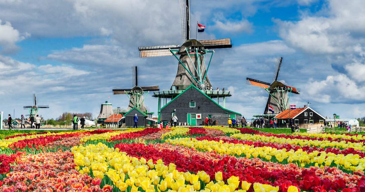What do the Dutch think is typically Dutch?